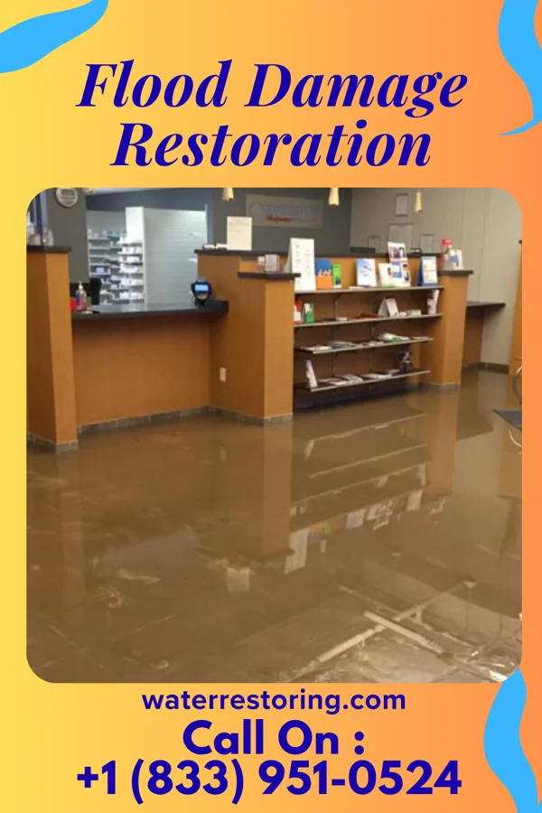 Flood Damage Restoration in Spring Lake, FL