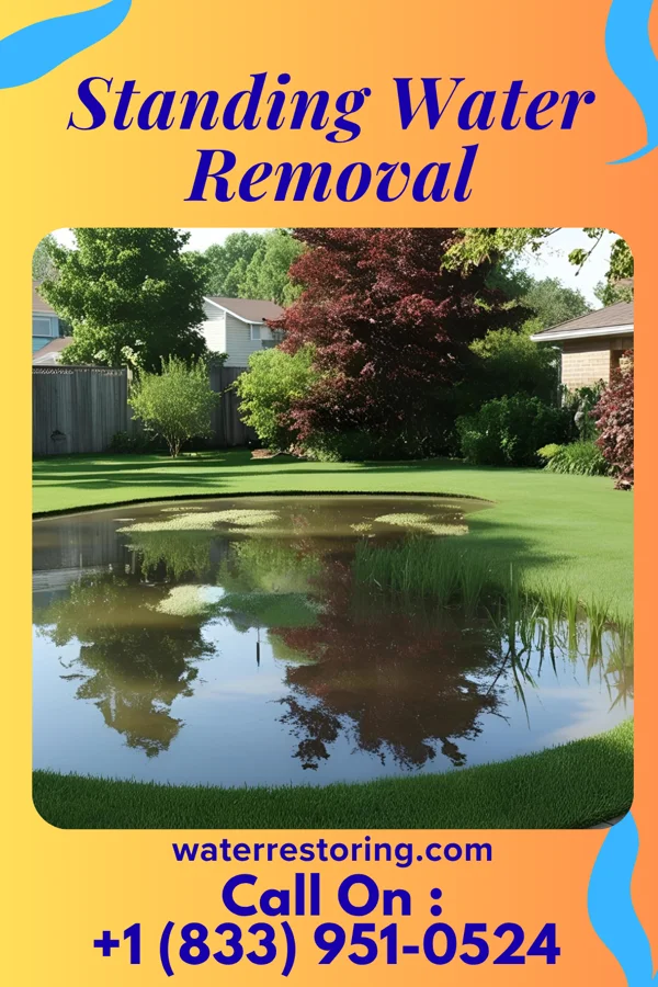 Standing Water Removal in Spring Lake, FL